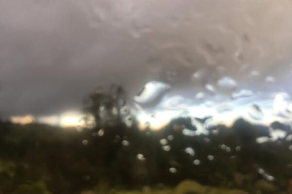 Nací un día de tormenta